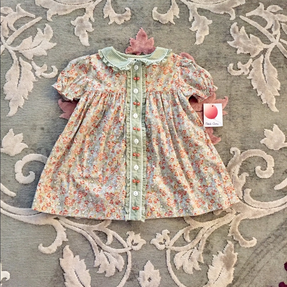 NWT Petit Ami Baby Dress 6M